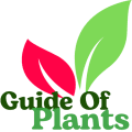 Plants Guide