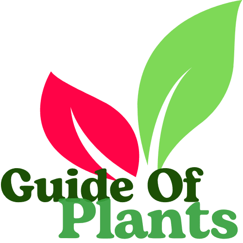 Guide of Plants