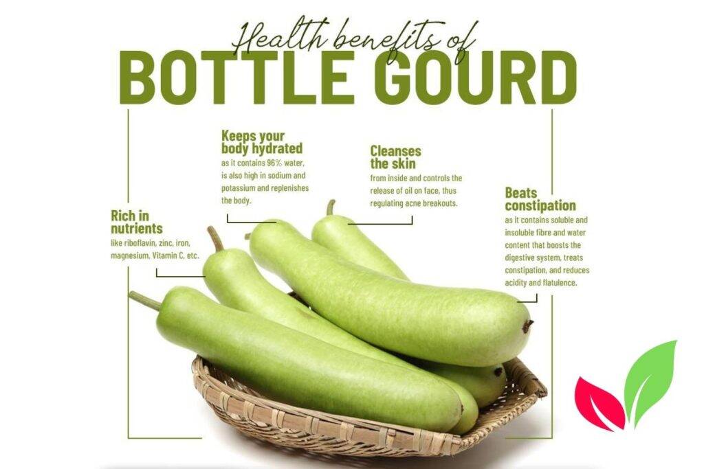 7-amazing-health-benefits-of-bottle-gourd-that-will-blow-your-mind