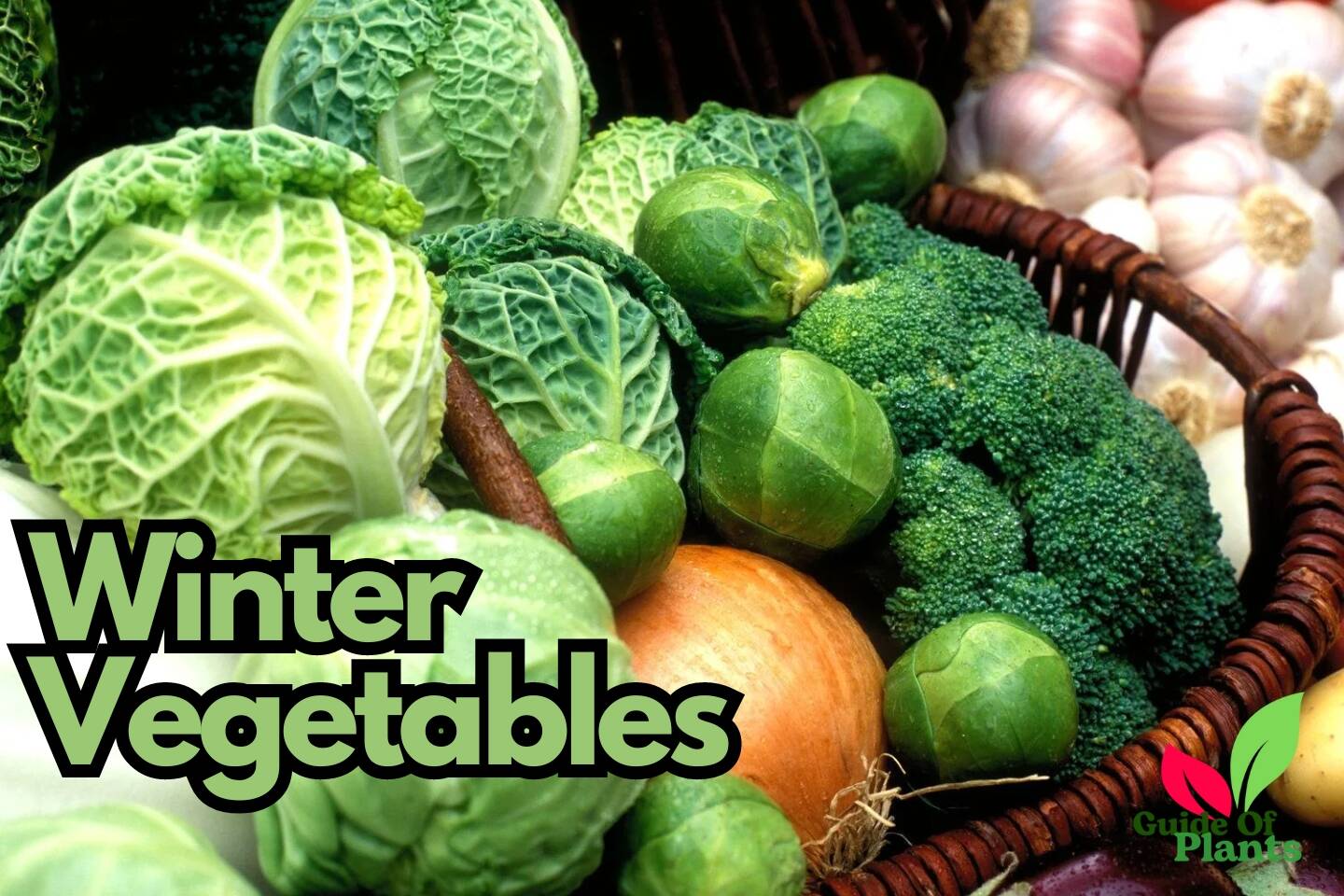 Winter Vegetables